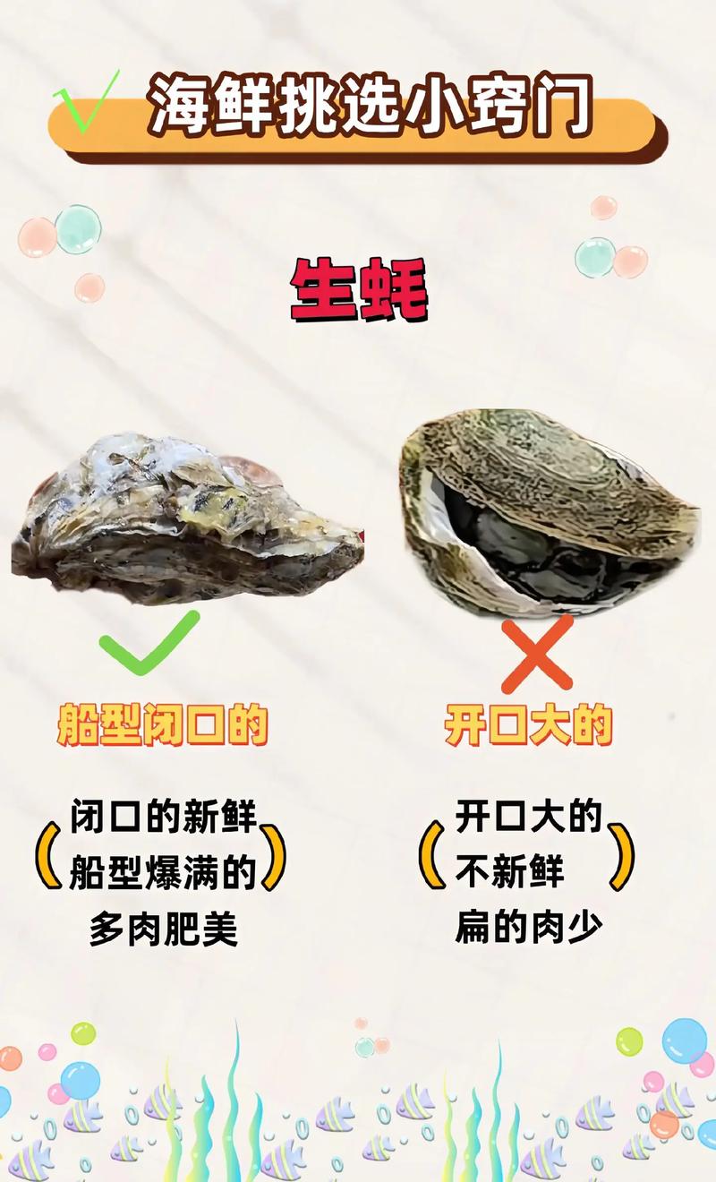 备孕每天吃8个生蚝;备孕每天吃8个生蚝可以吗