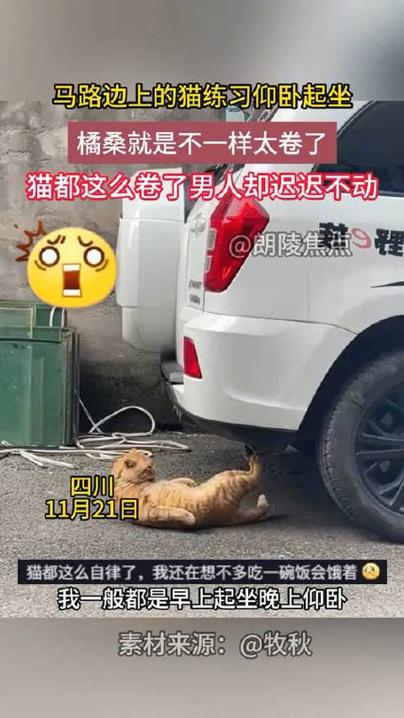 香港澳门 第29页