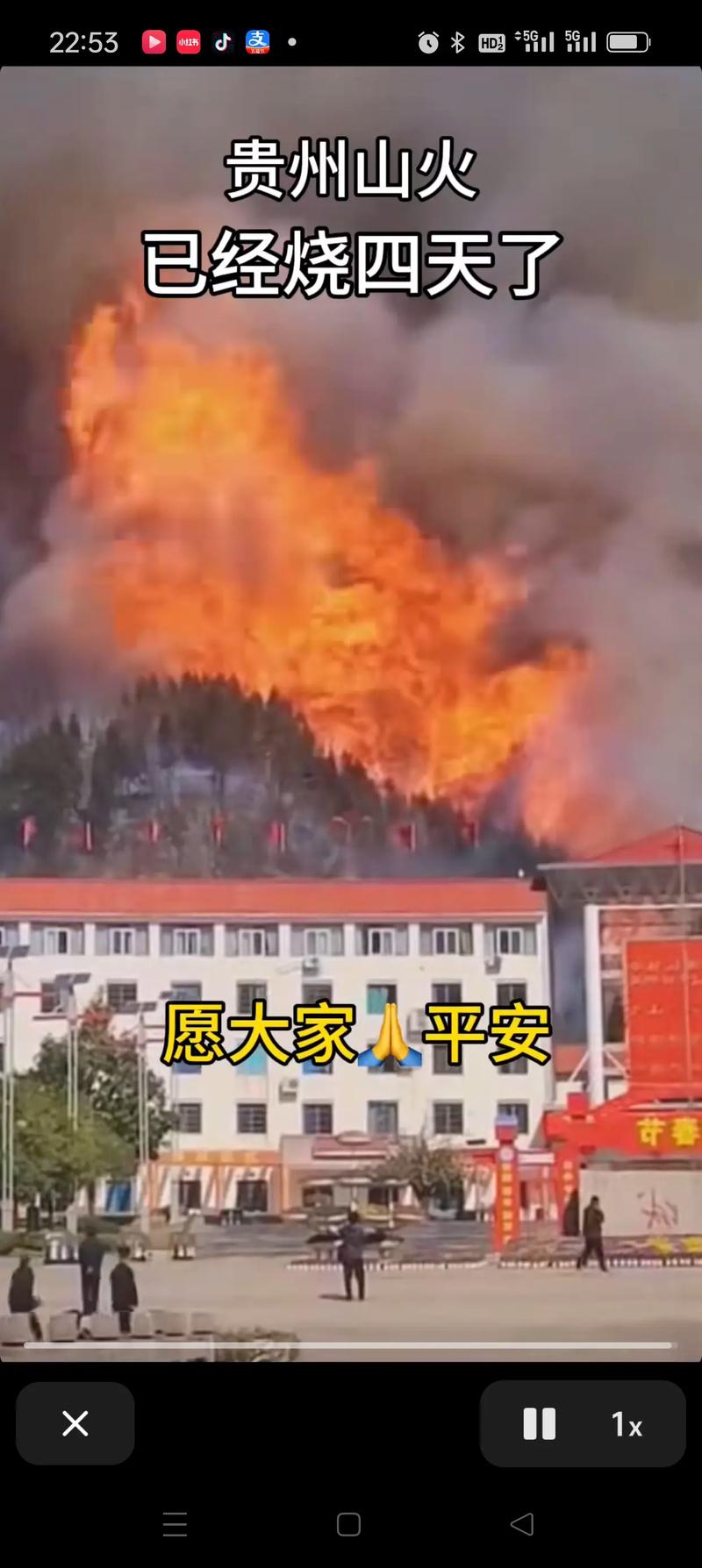 上坟引山火烧67只羊;上坟引燃山火